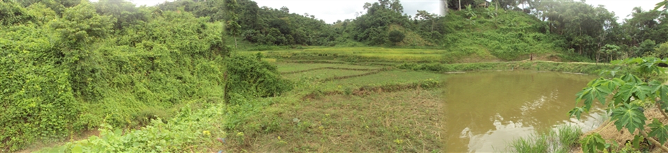 ব্যানার-২