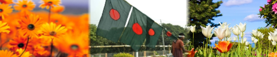 ফতেজঙ্গপুর উইপি