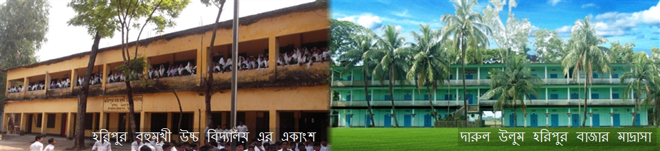 ঐতিহ্যবাহী স্কুল ও মাদ্রাসা