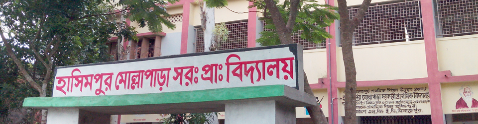 হাসিমপুর মোল্লাপাড়া সরকারী প্রাথমিক বিদ্যালয়