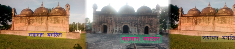 নয়াবাদ মসজিদ