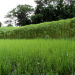 কৃষি ও প্রানিজ সম্পদ