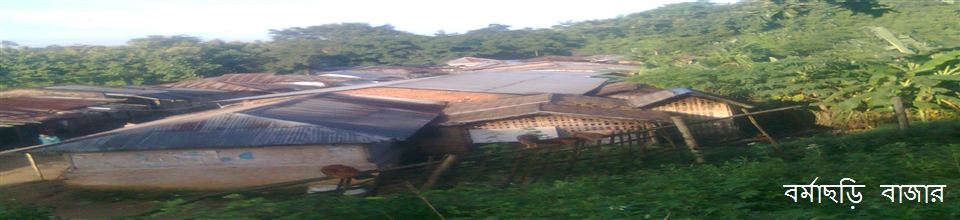 বর্মাছড়ি বাজার