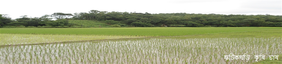 কৃষি চাষ