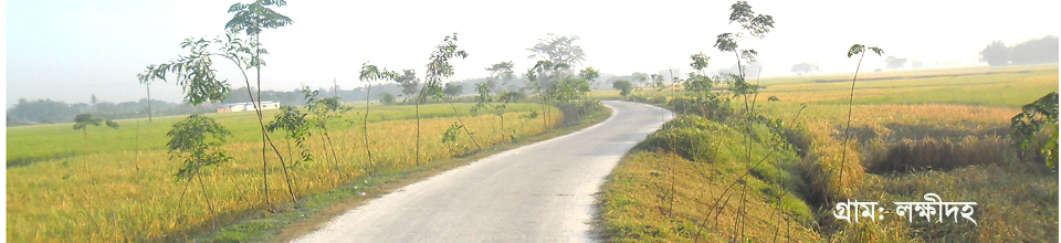 লক্ষীদহ গ্রাম