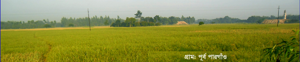 ফাজিলপুর ইউনিয়নের প্রাকৃতিক দৃশ্য