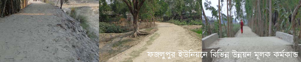 ফজলুপুর ইউনিযনের বিভিন্ন উন্নয়ন মূলক কর্মকান্ড