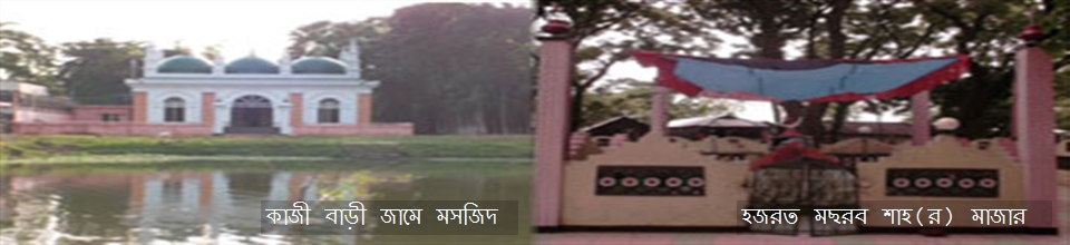 ব্যানার