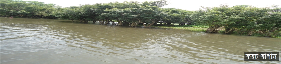 করচ বাগান