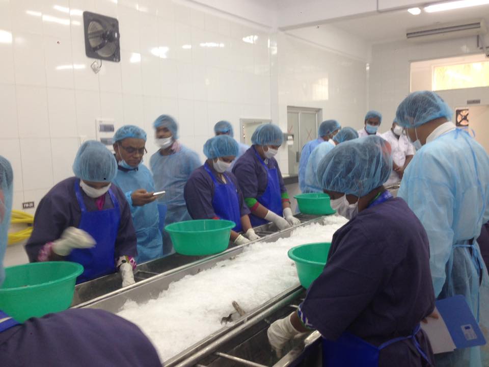 কারখানা পরিদর্শন