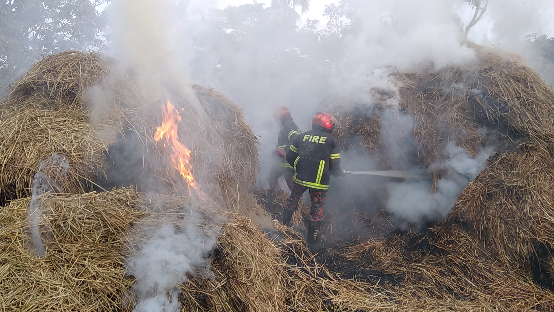 ব্যানার