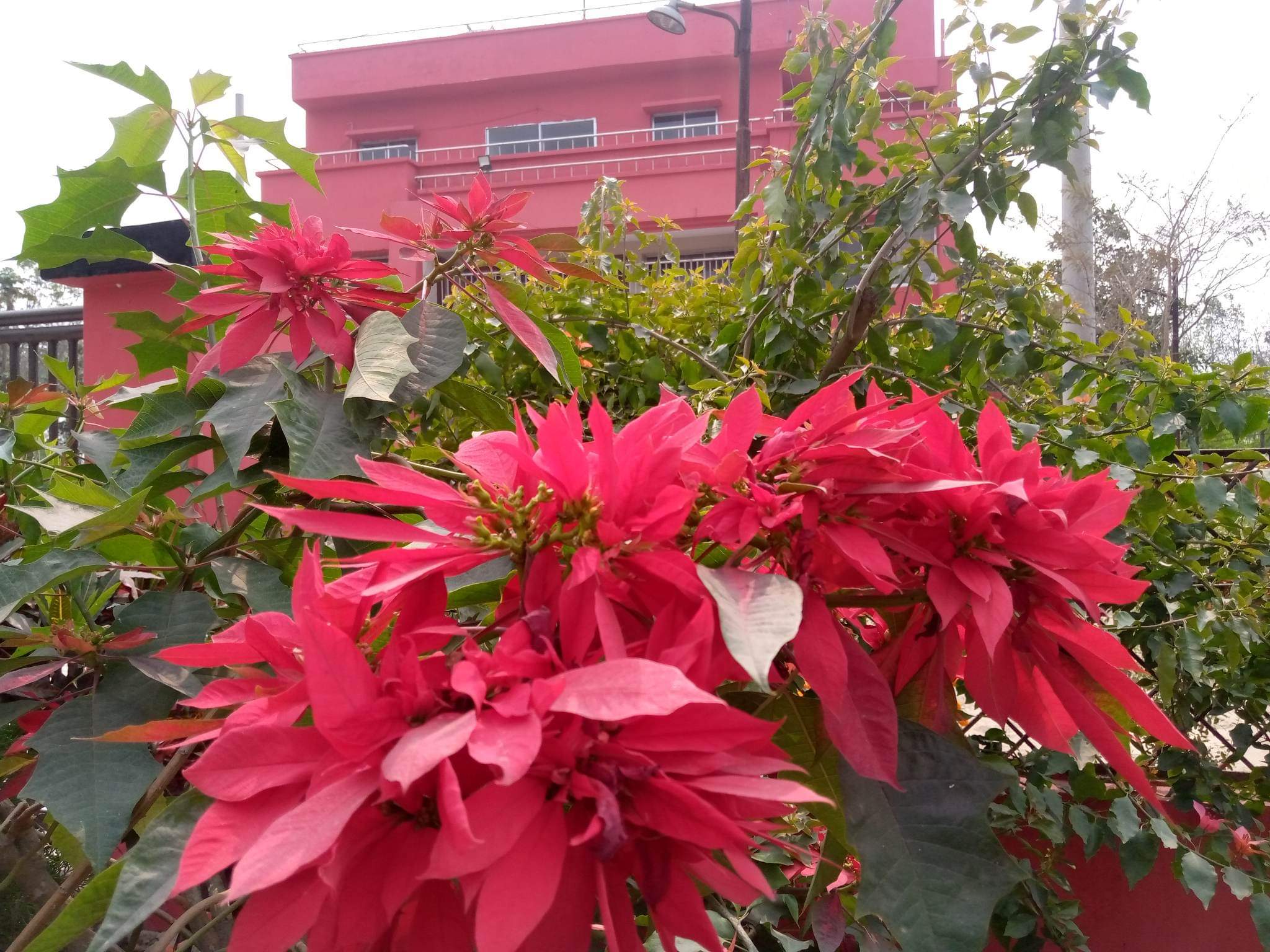 মধুখালী ফায়ার স্টেশন