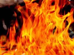 ফটোগ্যালারী