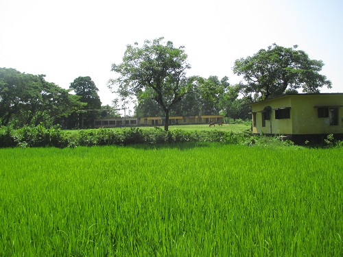 ফটো গ্যালারী