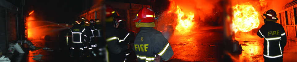 ফটো গ্যালারি