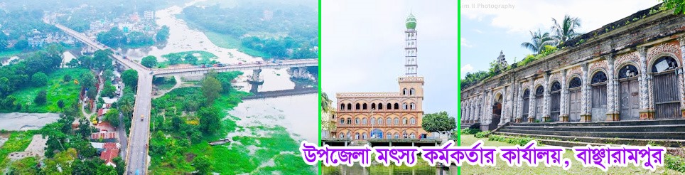 উপজেলা ফিশারিজ অফিস