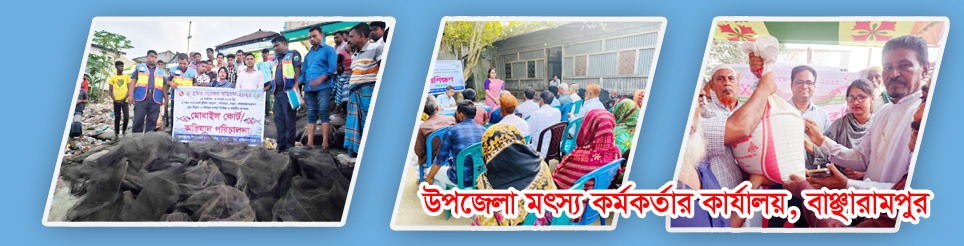 ফিশারিজ অফিসের কর্মকান্ড