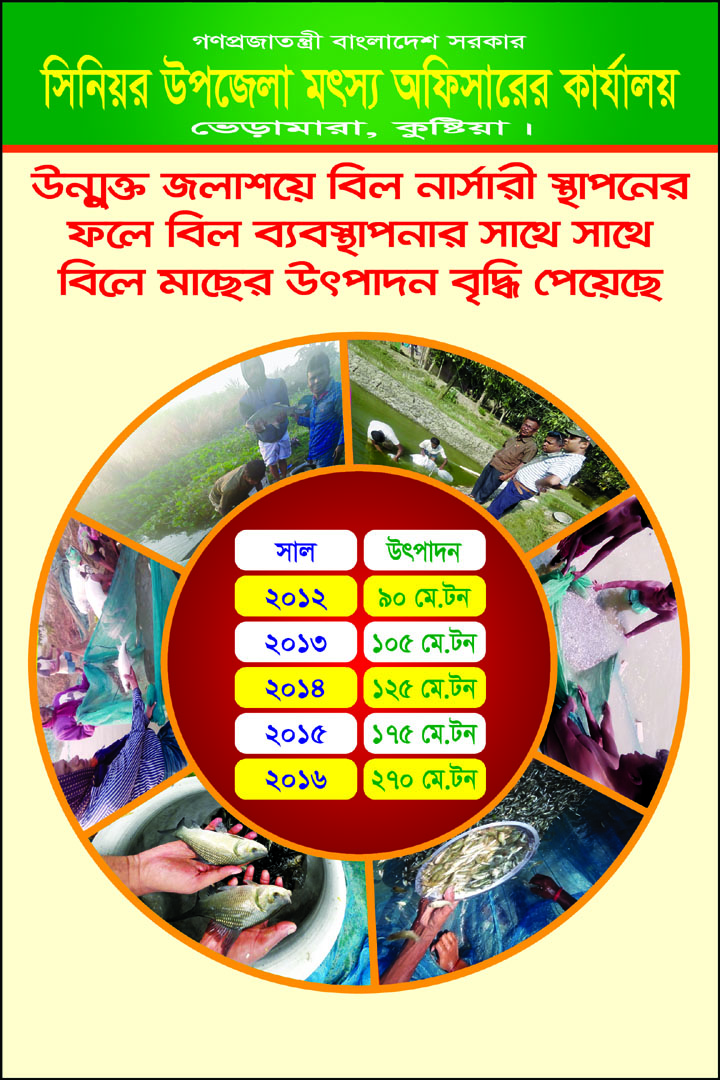 District E-Services