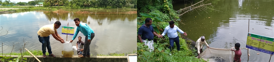 বিল নার্সারী