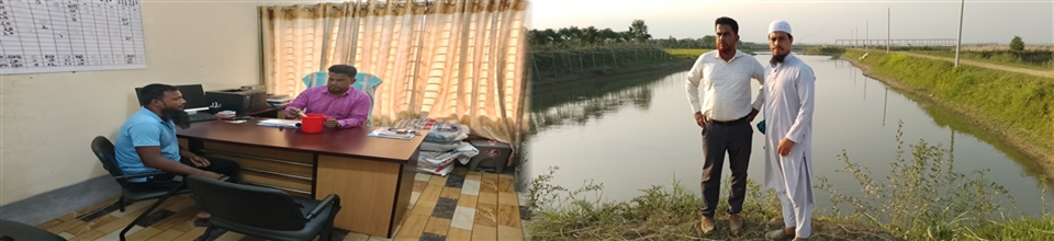 পরামর্শ প্রদান