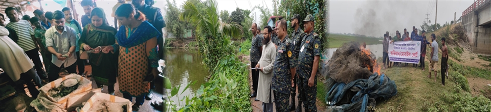 মৎস্য আইন বাস্তবায়ন