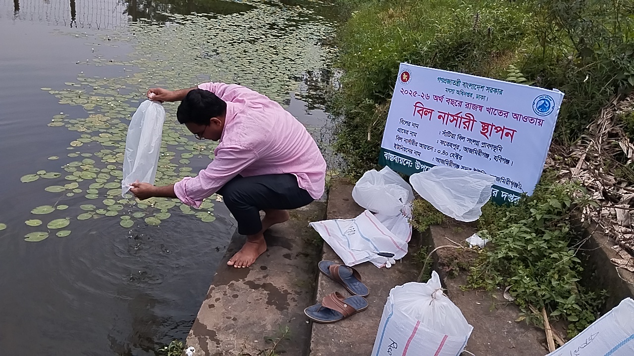 বিল নার্সারি স্থাপন