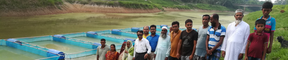 তুলসি গঙ্গা নদীতে স্থাপিত ভাসমান খাঁচায় মৎস্যচাষ