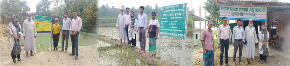 প্রদর্শনী পুকুর, বিল নার্সরি ও মৎস্য হ্যাচারি