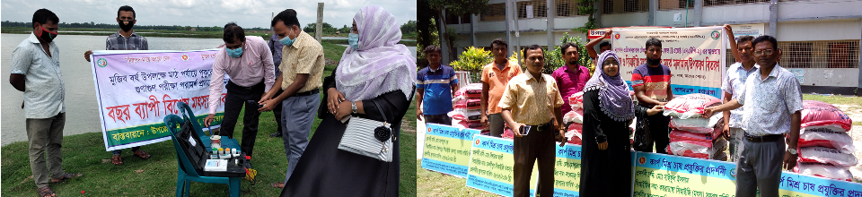 মাঠ পরিদর্শন