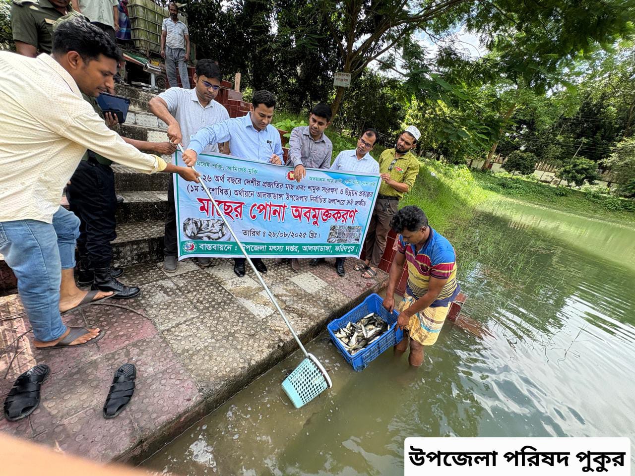 পোনা মাছ অবমুক্তকরণ