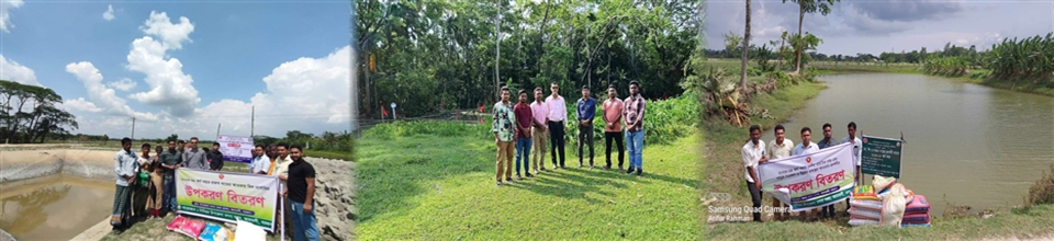 প্রদর্শনী , বিল অভায়াশ্রম