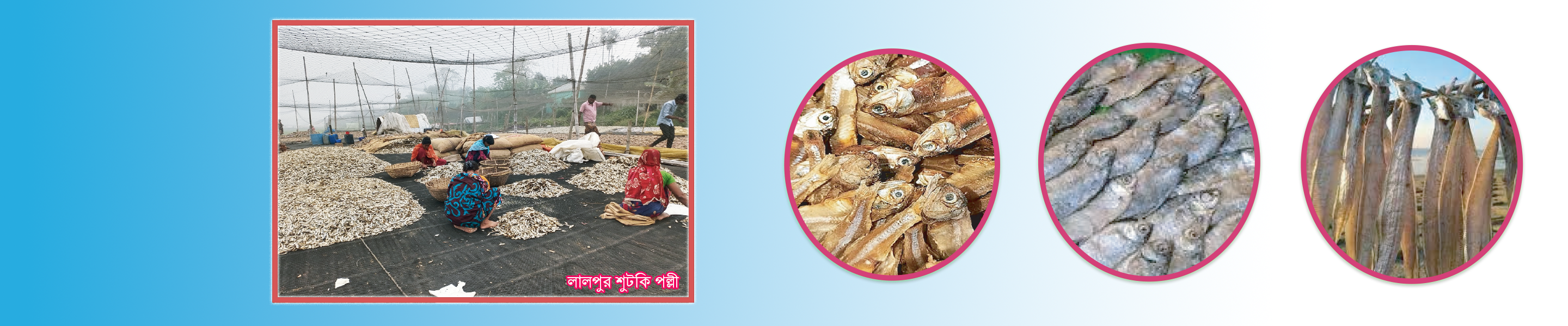 লালপুর শুটকী পল্লী