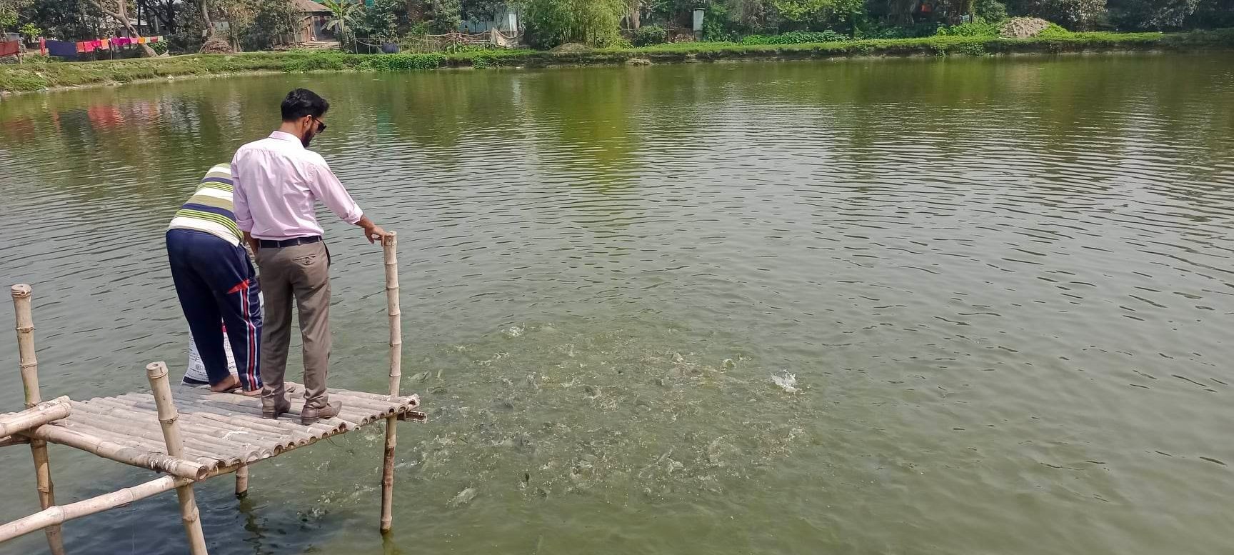 মৎস্য খামার পরিদর্শন