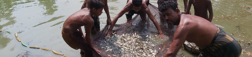উপজেলা মৎস্য অফিসের বিভিন্ন কার্যক্রম