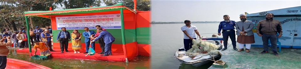 পোনা অবমুক্তি