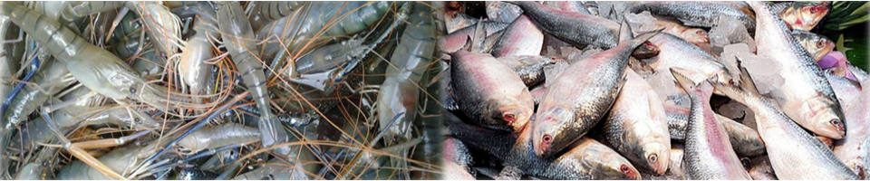 উপজেলা মৎস্য অফিস, বাগাতিপাড়া, নাটোর