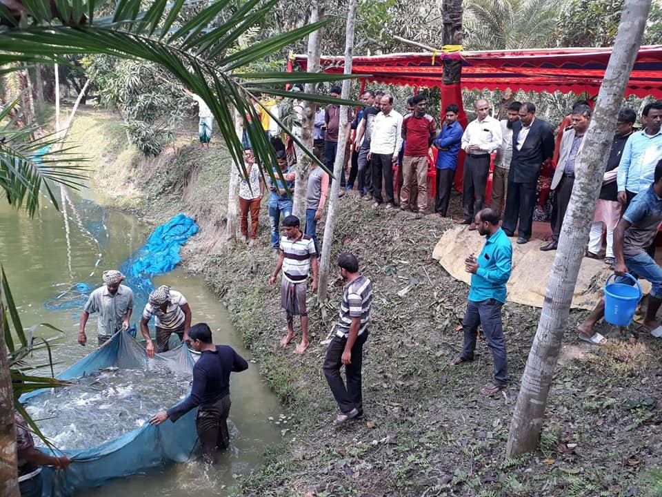 আরডি চাষীর পুকুর পাড়ে মাঠ দিবস