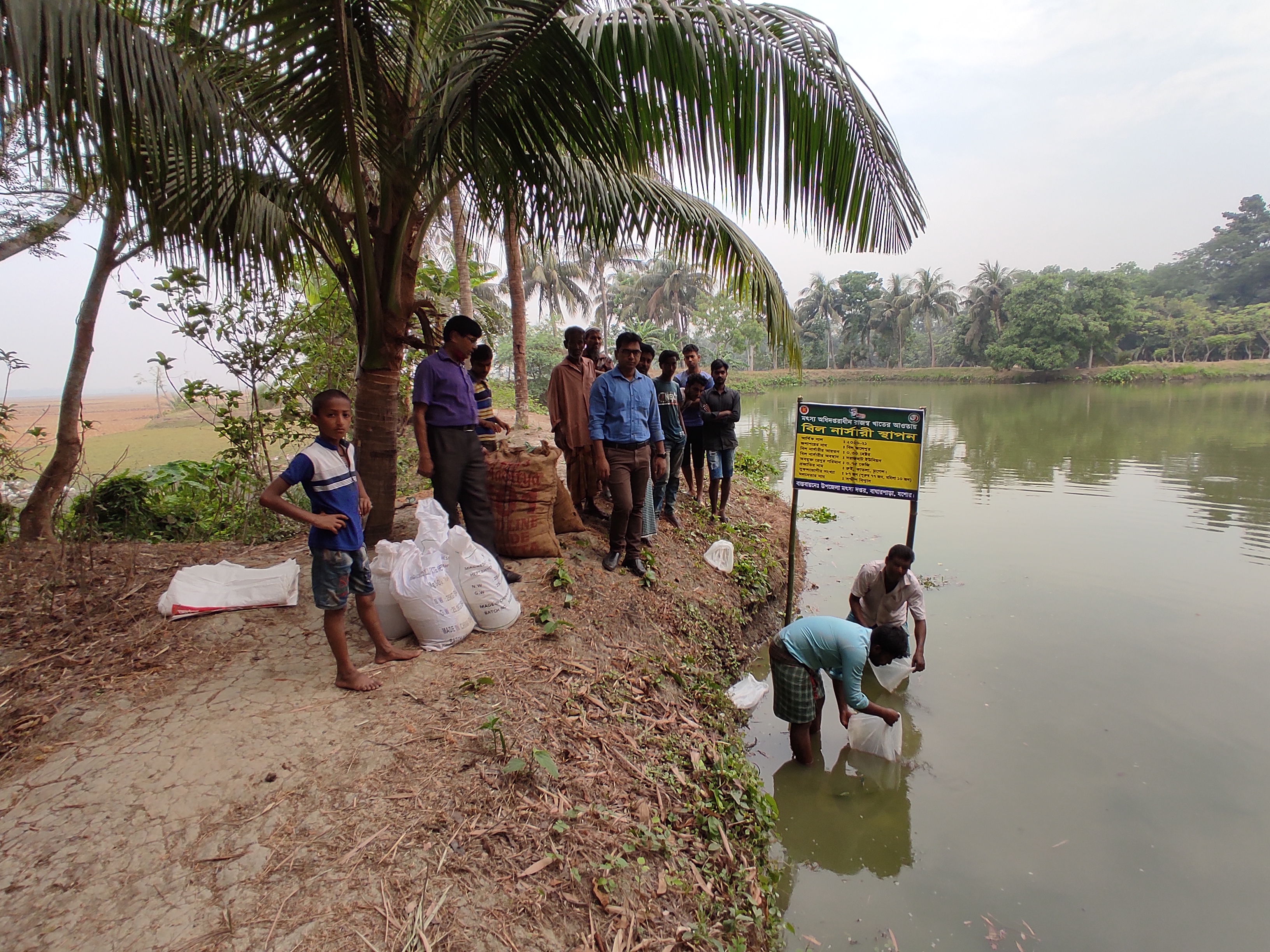 Service Process Simplification