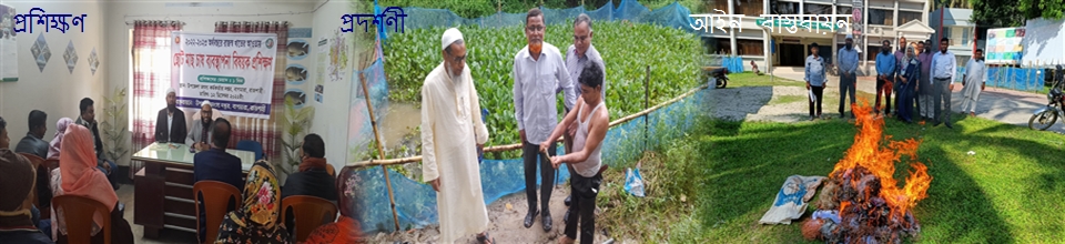 সার্বিক কার্যক্রম