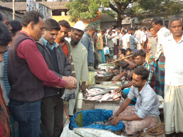 উপজেলা মৎস বিভাগের বিভিন্ন অনুষ্ঠানের ছবি 