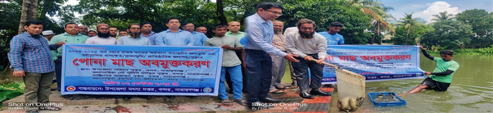 পোনা অবমুক্তকরন