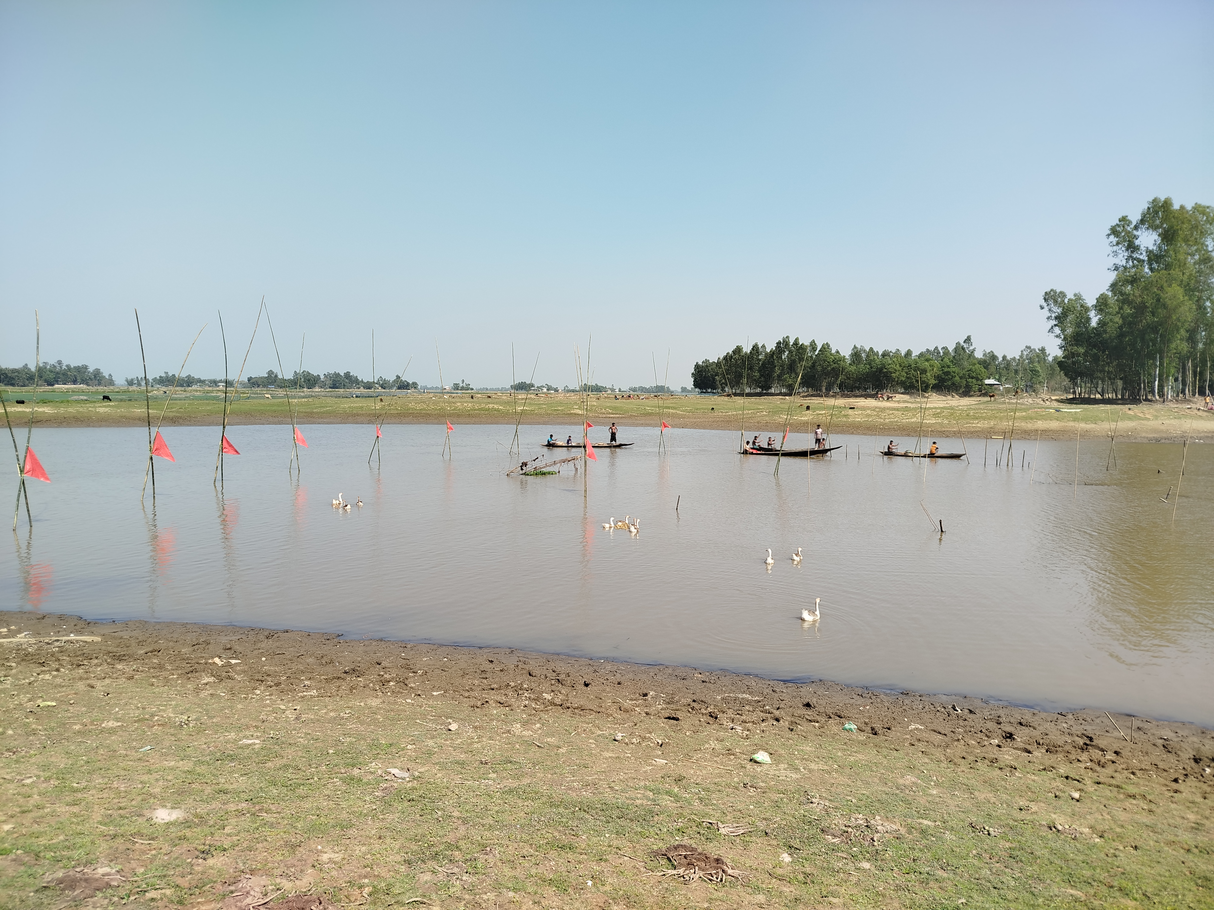 অভয়াশ্রম