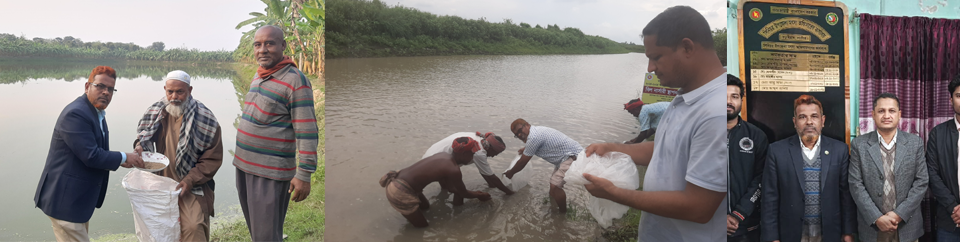 কার্যক্রম