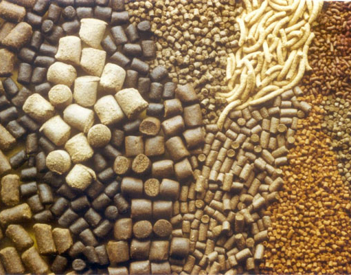 মৎস্য খাদ্য লাইসেন্স ও হ্যাচারি লাইসেন্স