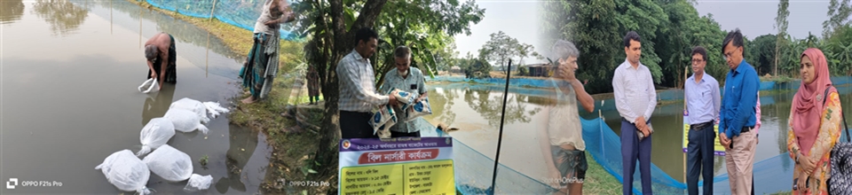 বিল নার্সারি ২০২৫