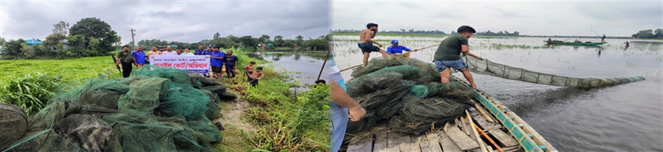 মৎস্য আইন ৪