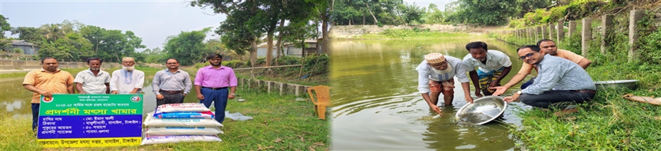 প্রদর্শনী মৎস্য খামার