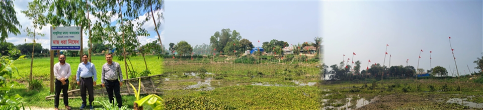 অভয়াশ্রম মেরামত