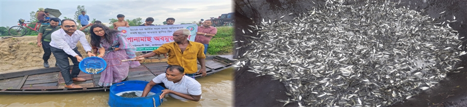 বিল নার্সারি