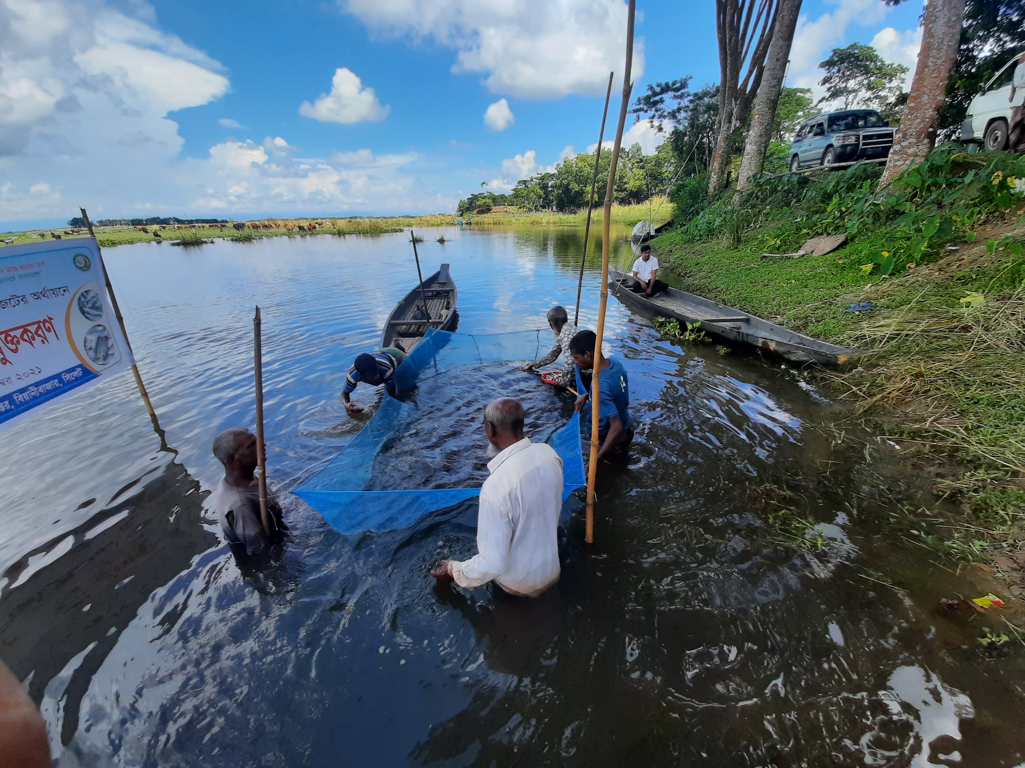 মুরিয়া হাওর। বিয়ানিবাজার।